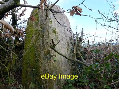 Foto 12x8 Bingwell Hill Trig S3922 Tiverton Bingwell Hill Trig Point Can c2012