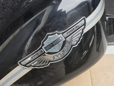 Harley Davidson Genuine Gas tank 100th Anniversary 2003 Sportster