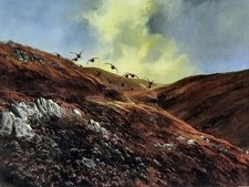 JONATHAN YULE (British), Grouse flying, Moorland, Large Print, Signed, Limited