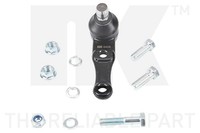 NK Traggelenk FüHrungsgelenk 5043501 FüR KIA Carens FJ Picanto UN Shuma FB 1 FC