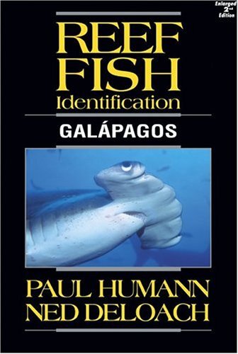 Reef Fish Identification - Image 4