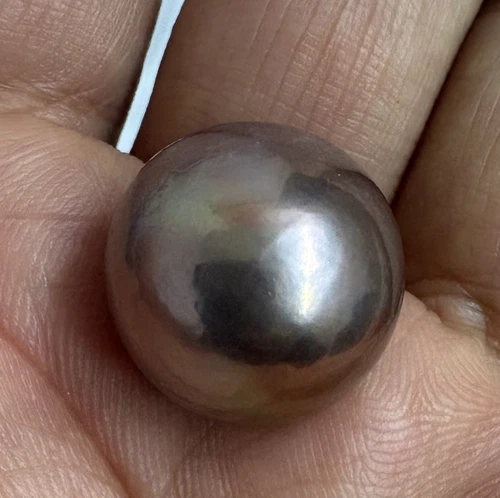 Huge 19-20mm natural South Sea Genuine rich purple Round Loose Pearl Undrilled 1