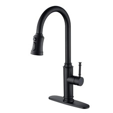 Stainless Steel Kitchen Sink Faucets with Pull with Deck Plate Matte Black