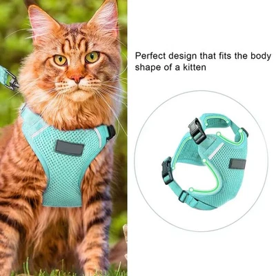 HALYPET Cat Harness and Leash Set Escape Proof Soft Adjustable Size Medium Turqoise