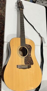 Guild D25m | eBay