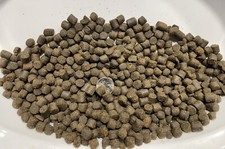 Sturgeon Food - 6lbs of 5/16  8mm sinking pellet / food