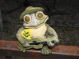 auction-connection-nw on eBay