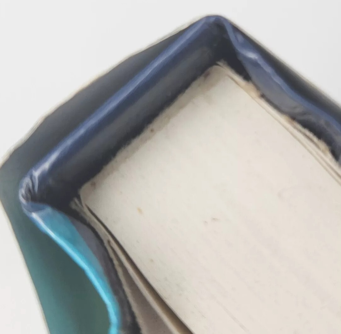 Sliding on the Edge By C. Lee McKenzie FIRST EDITION 2009 Hardcover Book thumbnail 7