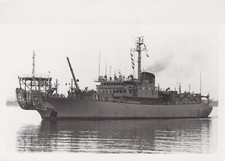 Vintage Ship 1989 USAT ARC 7 Zeus Antwerp Belgium Vessel Photo