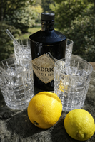 Nachtmann „Tastes Good“ Whisky Tumbler Set Mit Glastrinkhalmen – 9-Teilig