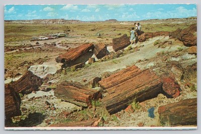 Petrified Forest National Monument Arizona Route 66 Plastichrome Postcard