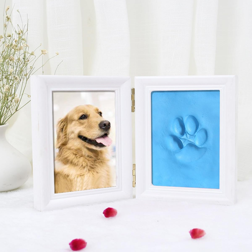 Impronte Di Zampe Di Cane Colorate Immagini Stock Modelli Senza
