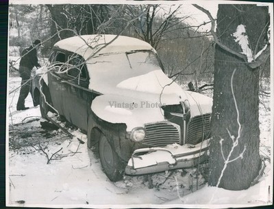 1948 John Hoover Death Pyre Executive Sedan Body Tree Historic Vintage Photo 7x9