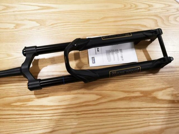 pokemon swimming trunks