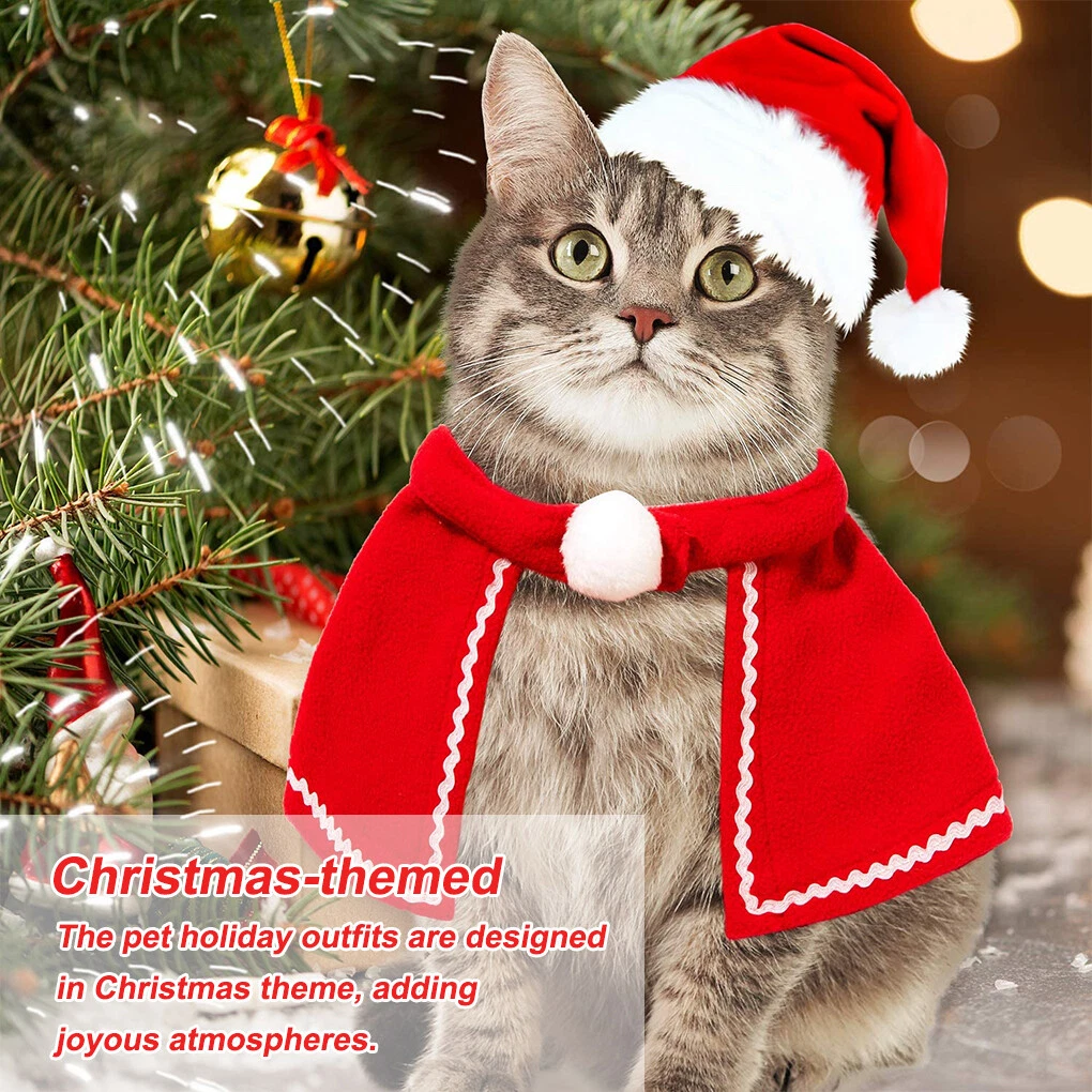 Cat holiday cheap outfits