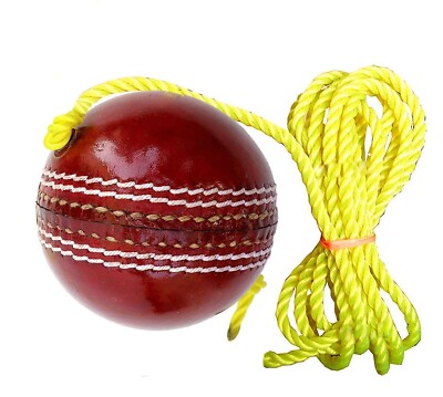 Leather Cricket Hanging Ball US