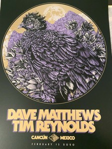 Dave Matthews Tr Riviera Maya Mexico Cartel 2 15 N2 Ap 80 Ken Taylor Ebay