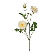 artplants Deko Zweig Pfingstrose Krovel, Champagner, 75Cm