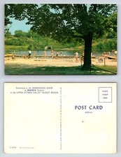 Swimming at Bonnechere River Renfrew Ontario Vintage Postcard Picture