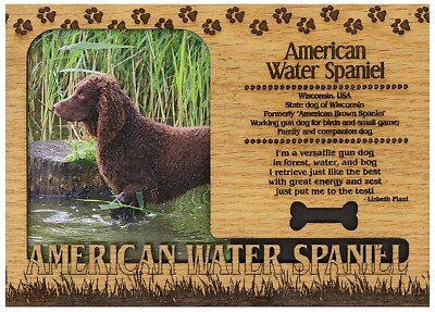 American Water Spaniel Engraved Wood Picture Frame Magnet