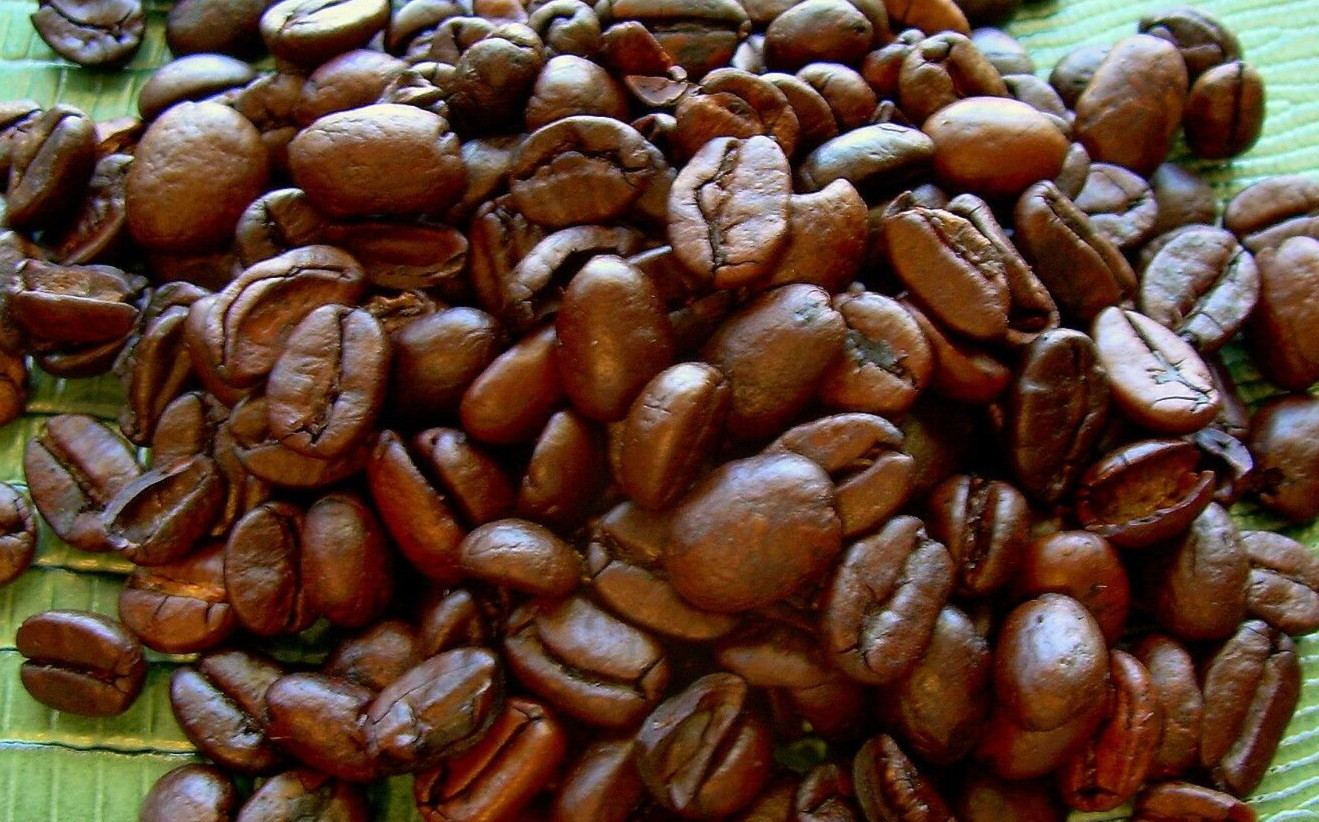 ORGANIC Bolivia Caranavi Pure Mountain Grown Coffee Light Ro