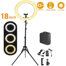 Professional 480 LEDs Ring Light 6000K Dimmable Lamp  71'' Tripod Carry Bag Kit