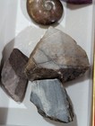 Lot Of Natural Gems, Old Treasures: Ruby, Ammolite, Chert, Garnet, Sapphire — photo 3