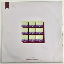 Connor Franta Best of Common Culture 2018 LP Urban Outfitters Limited Vinyl