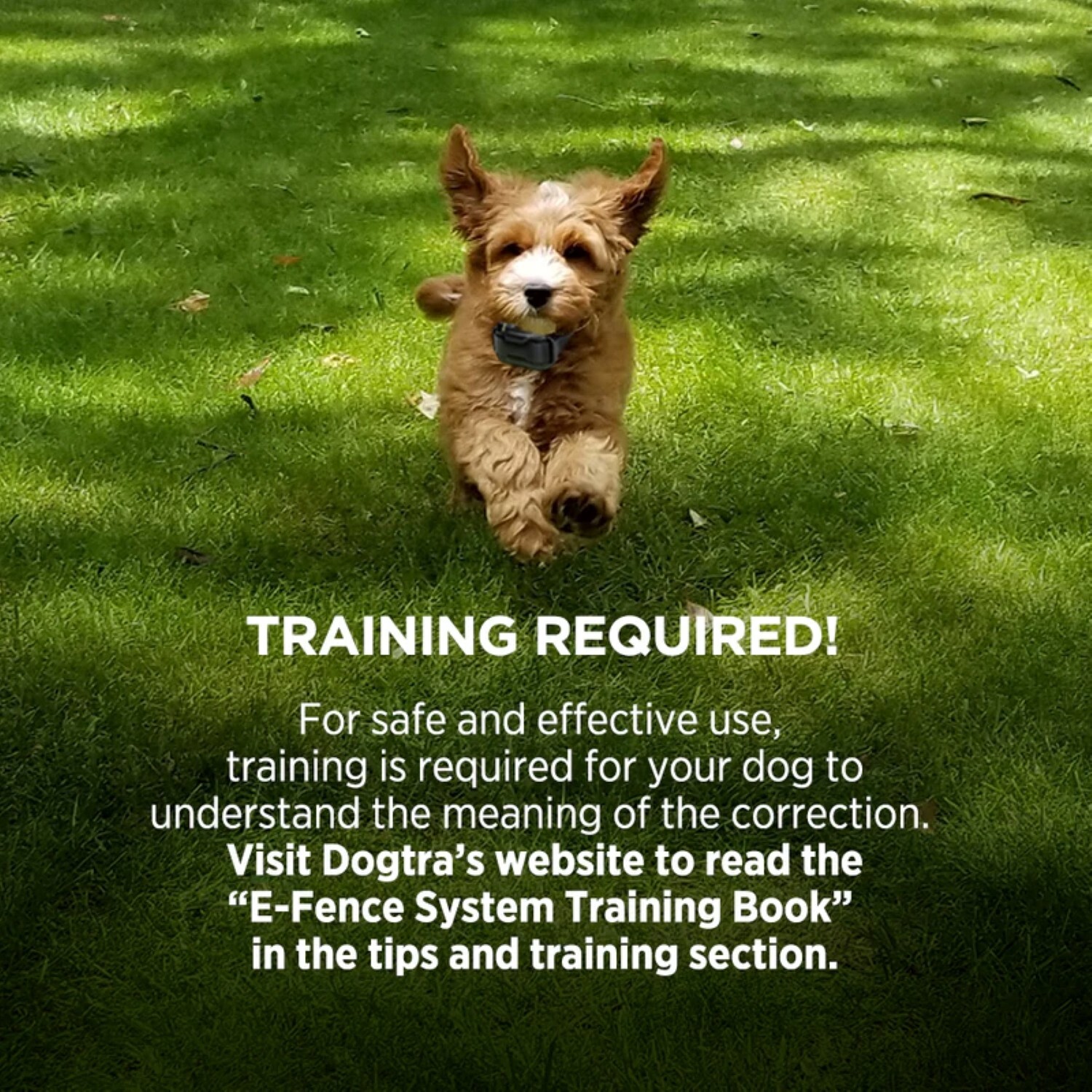 Dogtra E-Fence 3500 &ndash; The Ultimate Electric Fence for 40 Acres of Freedom - Blck