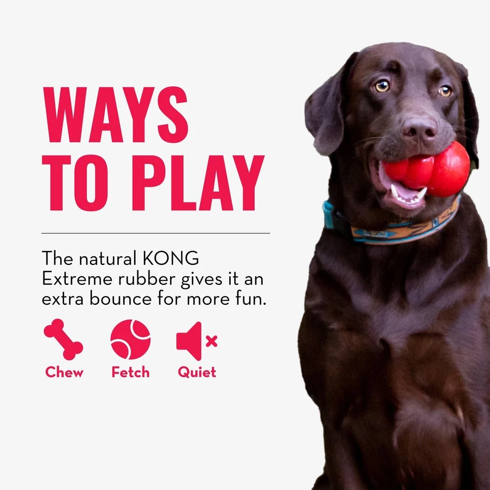 KONG Extreme Ball Con Foro Durevole Giocattolo per Cani in Gomma Naturale per l - Immagine 4 di 4
