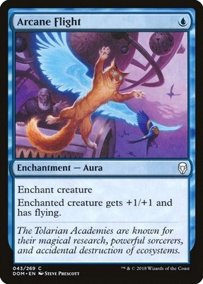MP - Foil - Arcane Flight - 43 - Dominaria