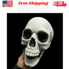 Realistic Plastic Skull Halloween Skeleton Haunted House Party Yard Decor
