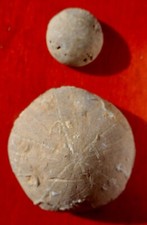 OURSIN FOSSILE JURASSIQUE DE LA VIENNE , HOLECTYPUS