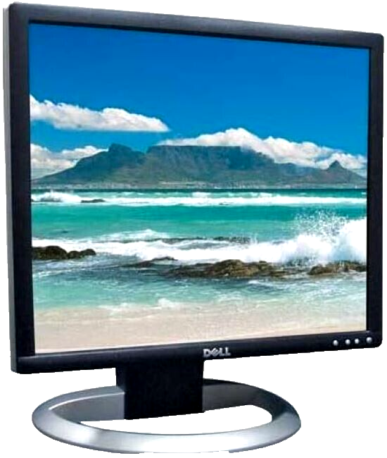 Dell 1905FP LCD Monitor for sale online | eBay