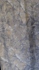 Social Scene Camo Pants Medium sweat pants Double waistband — photo 2