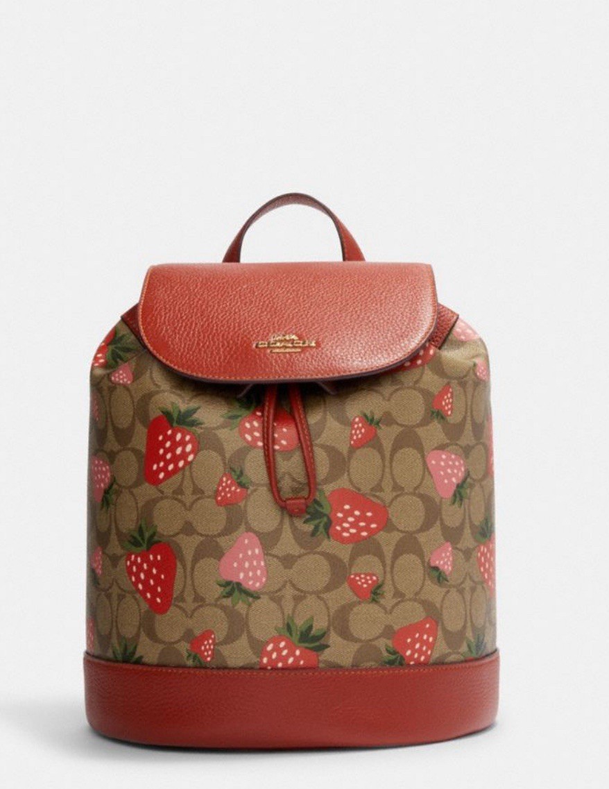 NWT Coach Dempsey Court Backpack With Wild Strawberry Print CH326