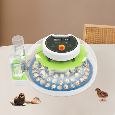 60-Egg Brooder Incubator Quail Poultry Eggs Hatching Machine Free Standing 
