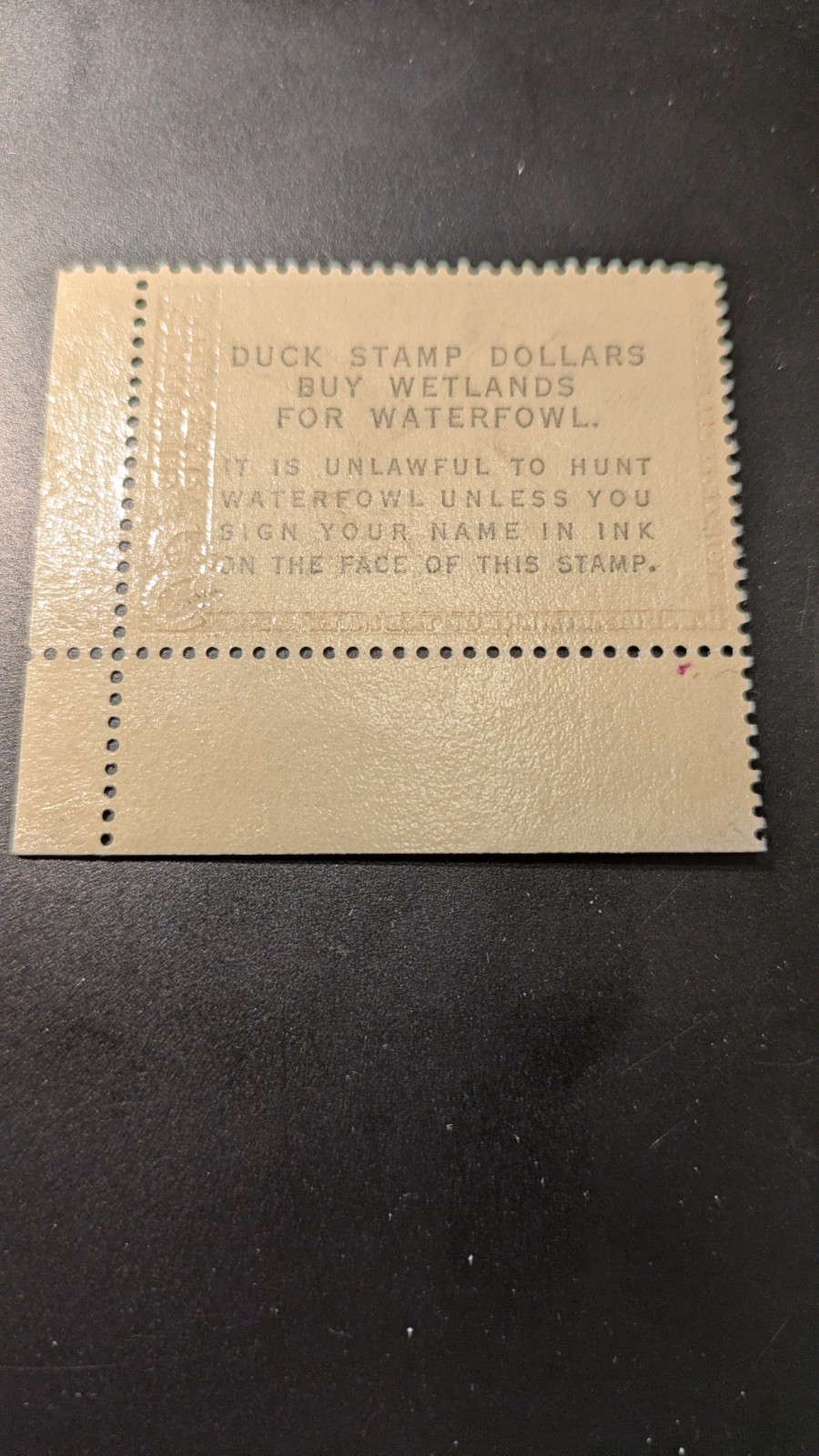 U.S. Federal Duck Stamp #RW29 Very Fine  Mint Never Hinged Plate Single