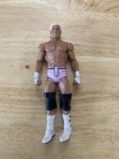 WWE Dolph Ziggler Mattel Elite Action Figure Wrestling Series 24 NXT