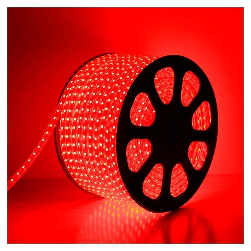 STRISCIA STRIP LED BOBINA SMD 5050 SPINA 220V BIANCA TUBO ESTERNO 1 A 100MT - Immagine 3 di 4