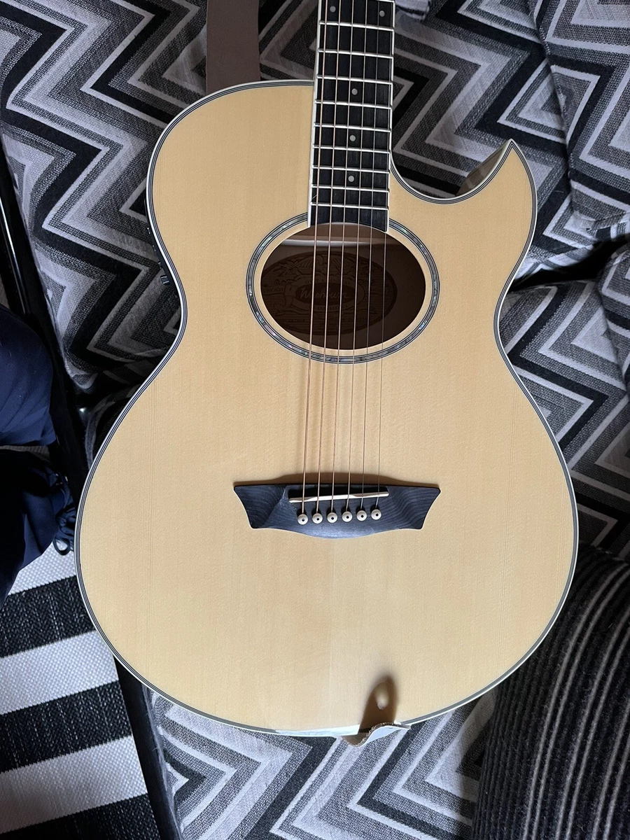 Washburn EA20 Mini Jumbo Acoustic Electric Guitar