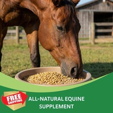HEIRO Horse Insulin Rescue Nutritional Supplement 40 Servings