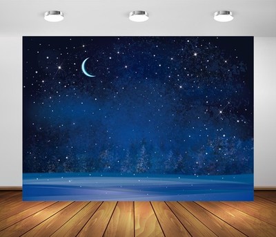 BELECO 7x5ft Fabric Winter Wonderland Night Snowfall Backdrop 7x5FT, A50026