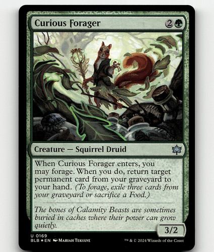 Curious Forager - FOIL - MTG Bloomburrow  | eBay