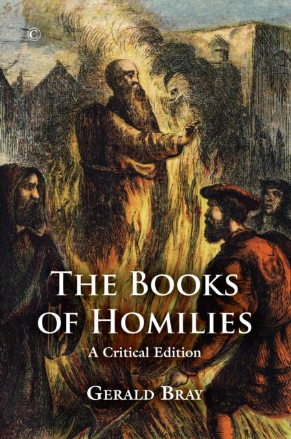 The Books of Homilies 9780227176238 Gerald Bray - Free Tracked Delivery