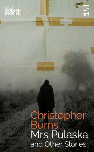 Christopher Burns Mrs Pulaska and Other Stories (Tascabile) Salt Modern Stories