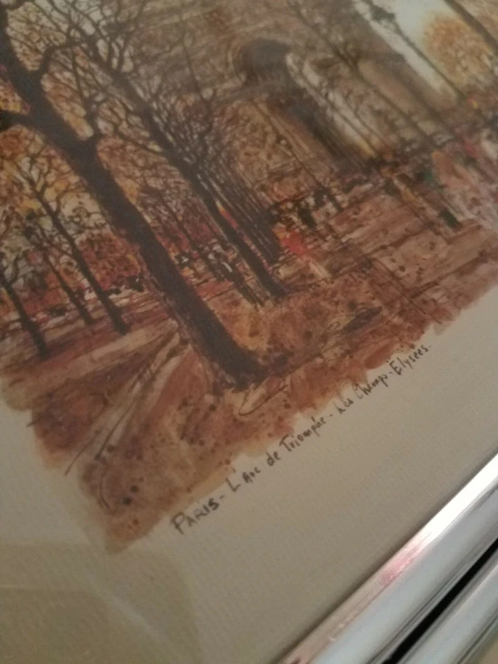 ALEXEI JAWDOKIMOV 2 Paris Litografía 8x10 Enmarcada, Notre Dame Litografía Impresión Pinturas Foto 2 de 4