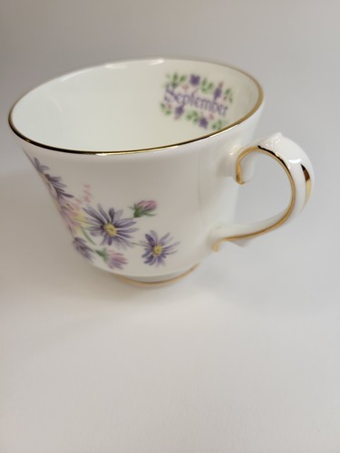 Duchess Tea Cup And Saucer English Fine Bone China " September" Aster Flower - Picture 7 of 10
