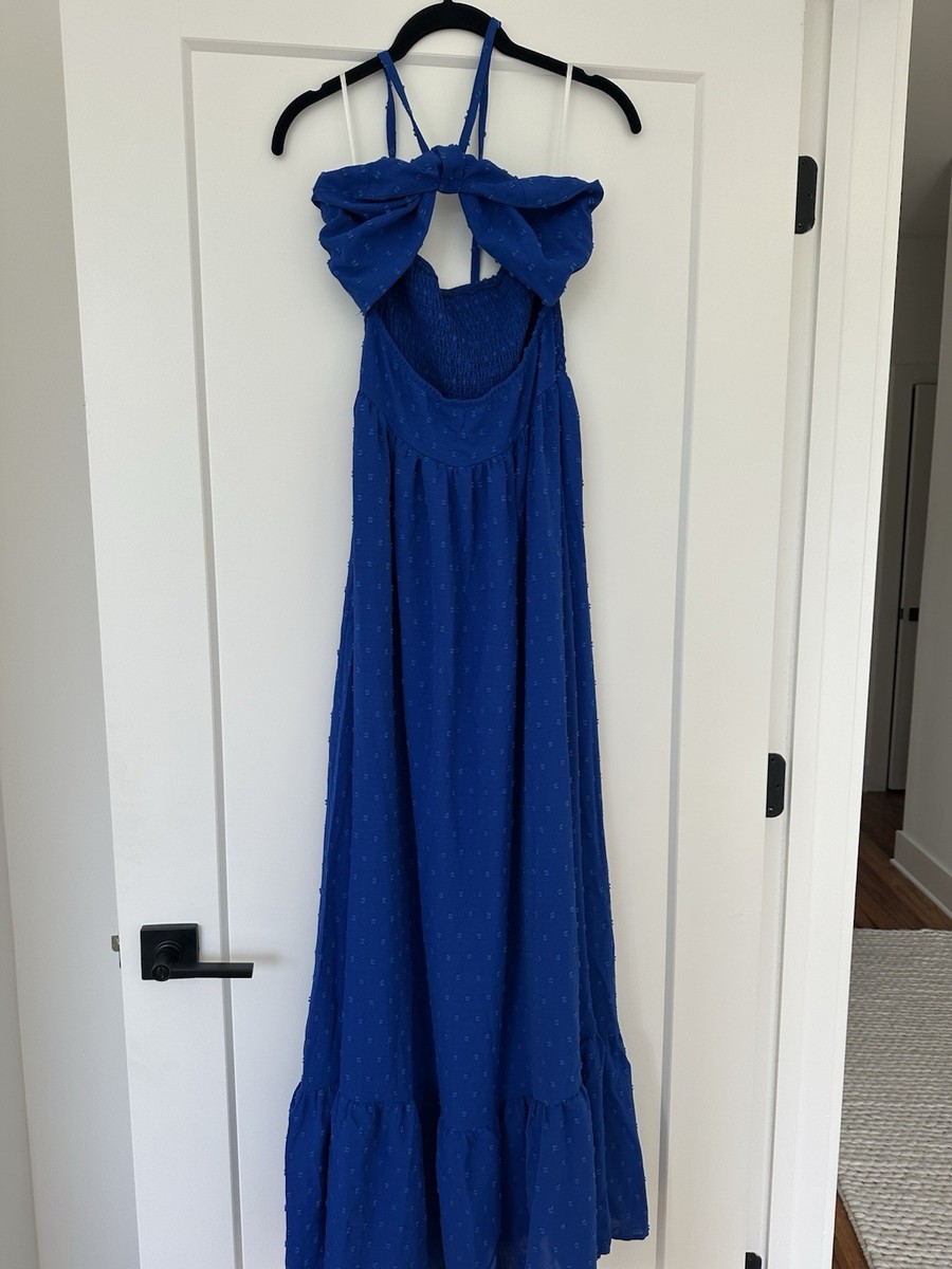 mother's day brunch dresses Light Blue Gingham Maxi Dress | Gili Dress main image 1