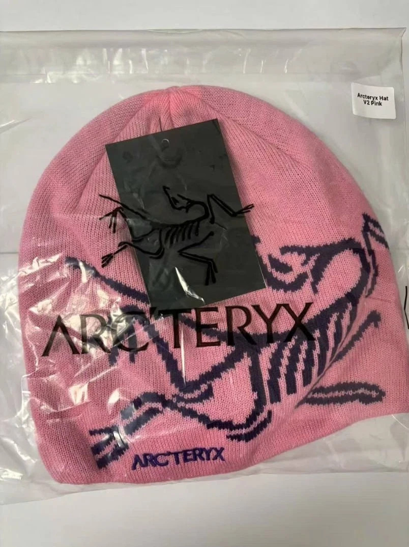 ARC'TERYX beanieバーガンディ/ピンク　レアカラー New Arc'teryx Bird Head Toque Pink Merino Wool Winter Knit Beanie